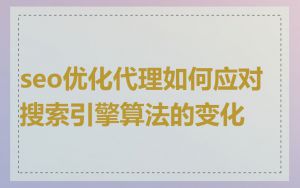 seo优化代理如何应对搜索引擎算法的变化