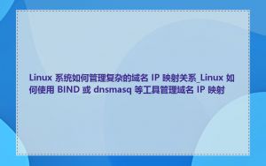 Linux 系统如何管理复杂的域名 IP 映射关系_Linux 如何使用 BIND 或 dnsmasq 等工具管理域名 IP 映射