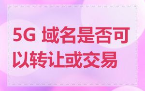 5G 域名是否可以转让或交易