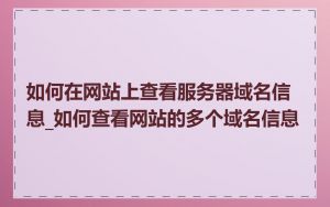 如何在网站上查看服务器域名信息_如何查看网站的多个域名信息