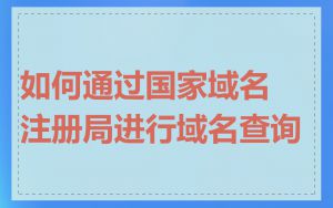 如何通过国家域名注册局进行域名查询