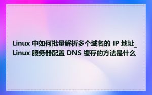 Linux 中如何批量解析多个域名的 IP 地址_Linux 服务器配置 DNS 缓存的方法是什么