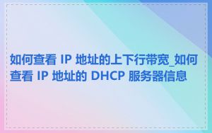 如何查看 IP 地址的上下行带宽_如何查看 IP 地址的 DHCP 服务器信息