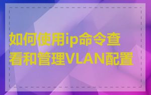 如何使用ip命令查看和管理VLAN配置