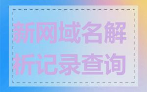 新网域名解析记录查询