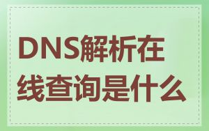 DNS解析在线查询是什么