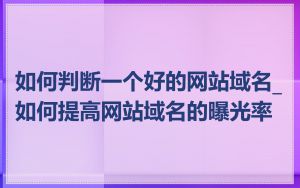 如何判断一个好的网站域名_如何提高网站域名的曝光率