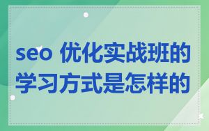 seo 优化实战班的学习方式是怎样的