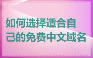 如何选择适合自己的免费中文域名