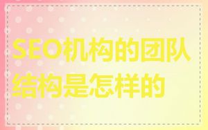 SEO机构的团队结构是怎样的
