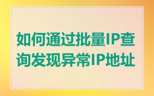 如何通过批量IP查询发现异常IP地址