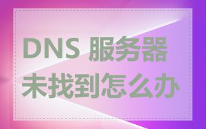 DNS 服务器未找到怎么办