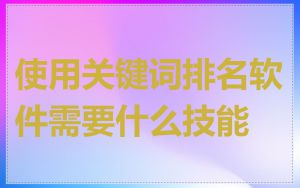 使用关键词排名软件需要什么技能