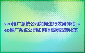 seo推广系统公司如何进行效果评估_seo推广系统公司如何提高网站转化率