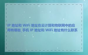 IP 地址和 WiFi 地址在云计算和物联网中的应用有哪些_手机 IP 地址和 WiFi 地址有什么联系