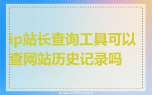 ip站长查询工具可以查网站历史记录吗