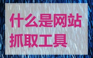 什么是网站抓取工具