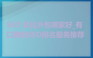SEO 优化外包哪家好_有口碑的SEO排名服务推荐