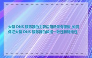 大型 DNS 服务器的主要应用场景有哪些_如何保证大型 DNS 服务器的数据一致性和稳定性