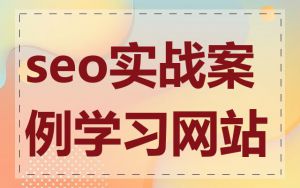 seo实战案例学习网站