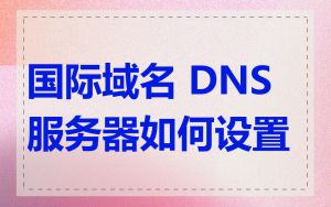国际域名 DNS 服务器如何设置