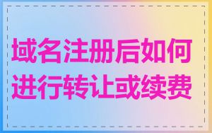域名注册后如何进行转让或续费