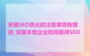安徽SEO优化的注意事项有哪些_安徽本地企业如何看待SEO