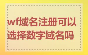 wf域名注册可以选择数字域名吗