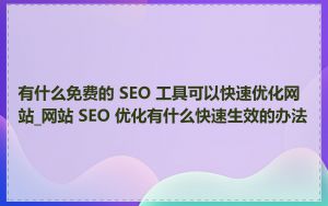 有什么免费的 SEO 工具可以快速优化网站_网站 SEO 优化有什么快速生效的办法