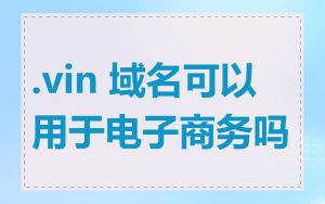 .vin 域名可以用于电子商务吗