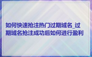 如何快速抢注热门过期域名_过期域名抢注成功后如何进行盈利