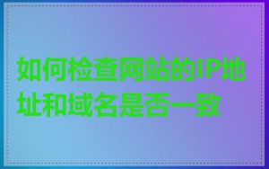 如何检查网站的IP地址和域名是否一致