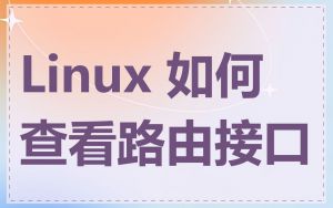 Linux 如何查看路由接口