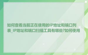 如何查看当前正在使用的IP地址和端口列表_IP地址和端口扫描工具有哪些?如何使用