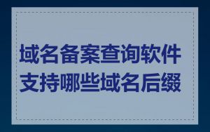 域名备案查询软件支持哪些域名后缀
