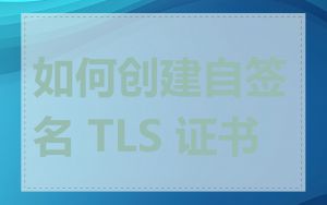 如何创建自签名 TLS 证书