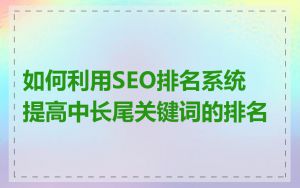 如何利用SEO排名系统提高中长尾关键词的排名