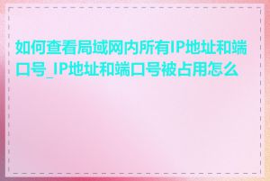 如何查看局域网内所有IP地址和端口号_IP地址和端口号被占用怎么办