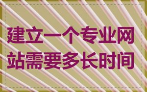 建立一个专业网站需要多长时间