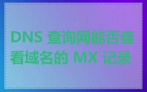 DNS 查询网能否查看域名的 MX 记录