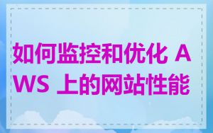 如何监控和优化 AWS 上的网站性能