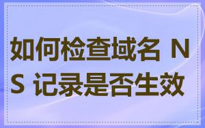 如何检查域名 NS 记录是否生效