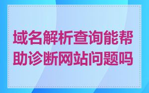域名解析查询能帮助诊断网站问题吗