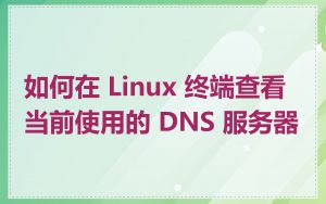 如何在 Linux 终端查看当前使用的 DNS 服务器