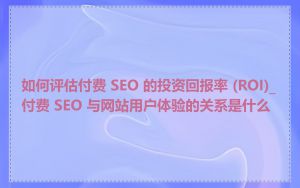 如何评估付费 SEO 的投资回报率 (ROI)_付费 SEO 与网站用户体验的关系是什么