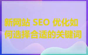 新网站 SEO 优化如何选择合适的关键词