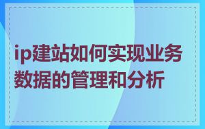 ip建站如何实现业务数据的管理和分析