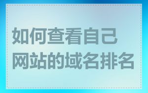 如何查看自己网站的域名排名