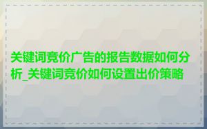 关键词竞价广告的报告数据如何分析_关键词竞价如何设置出价策略