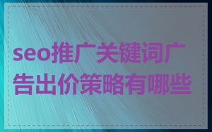seo推广关键词广告出价策略有哪些